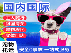莫力达瓦旗机场托运国际宠物托运 【国